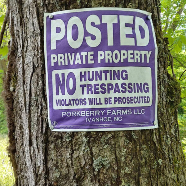Posted Private Property No Hunting Trespassing Violators will be Prosecuted Purple Tyvek Sign wrapped around a tree