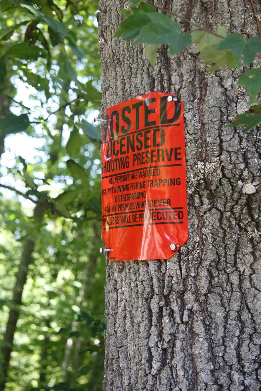 Tort of trespass image